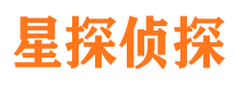 临河市场调查